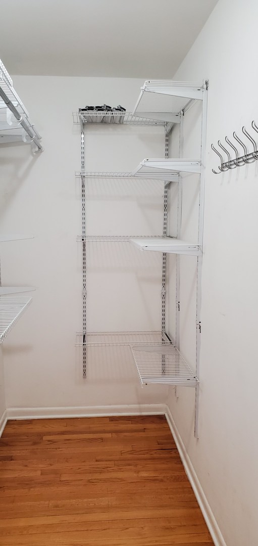 1619 West Howard Street, Unit B3 Chicago, IL 60202 - Photo 11 of 13 a view of an empty walk in closet