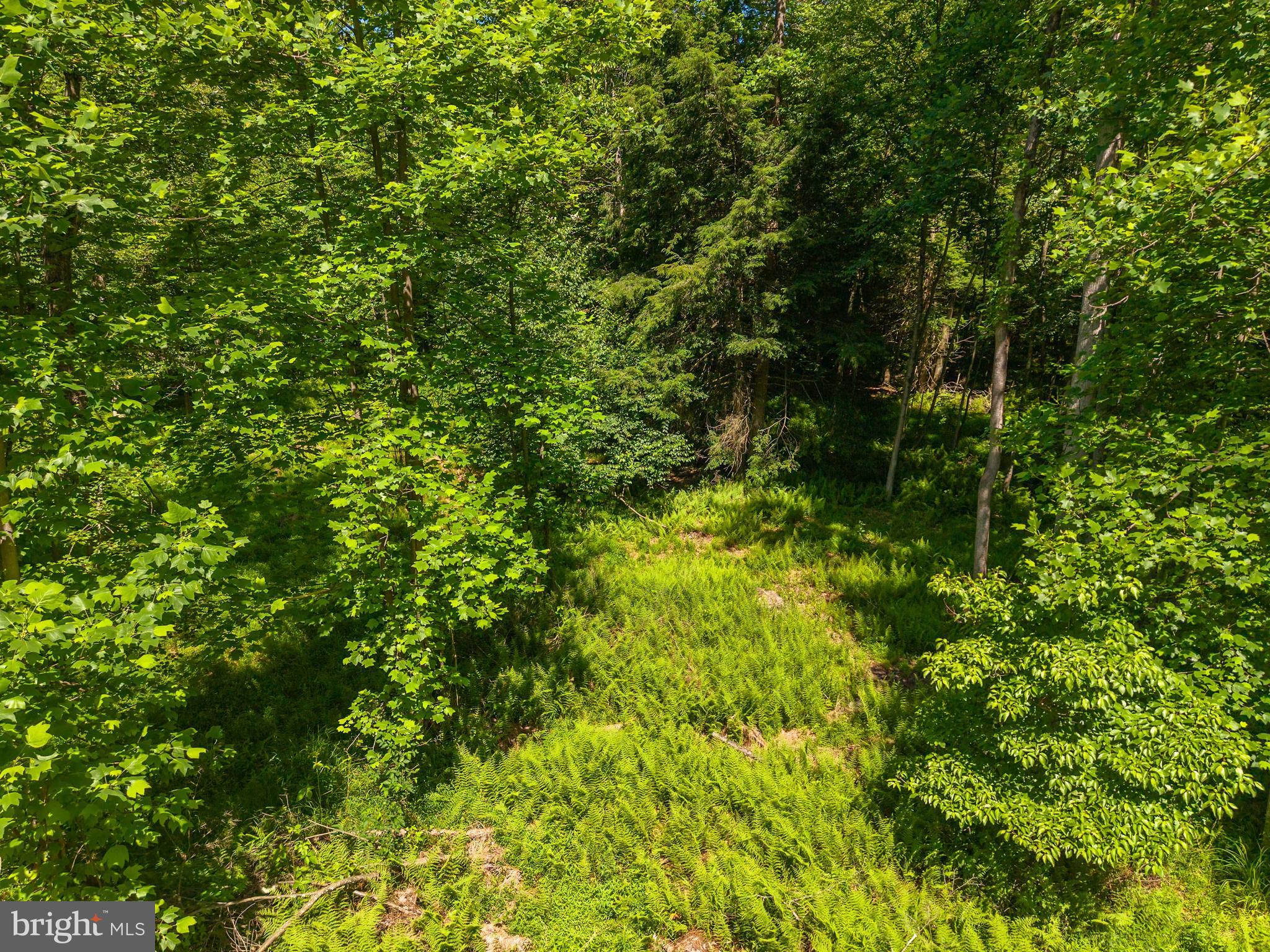 0 Friedline Road, Unit 3 LOT Sunbury, PA 17801 - Photo 22 of 27