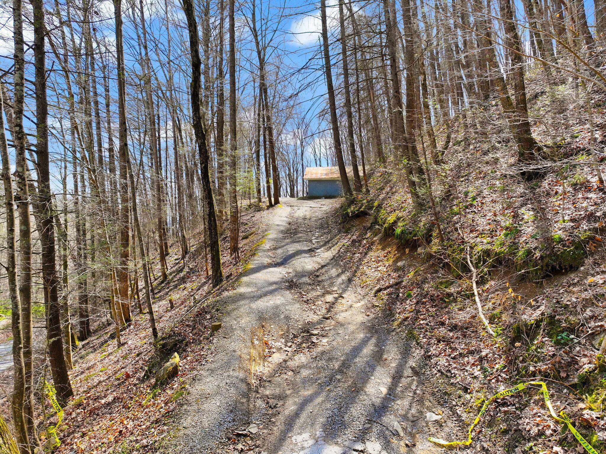 1197 Beans Fork Road Middlesboro, KY 40965 - Photo 2 of 28