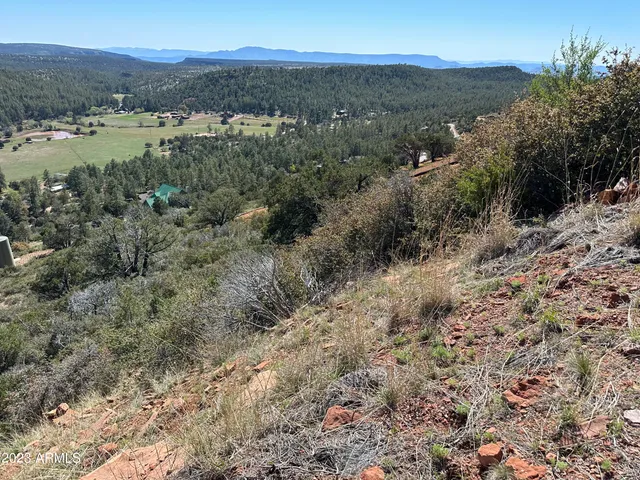 a view of a town with trees in the background