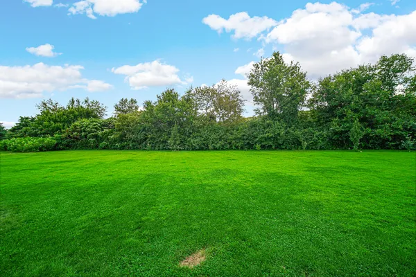 a view of yard with green space