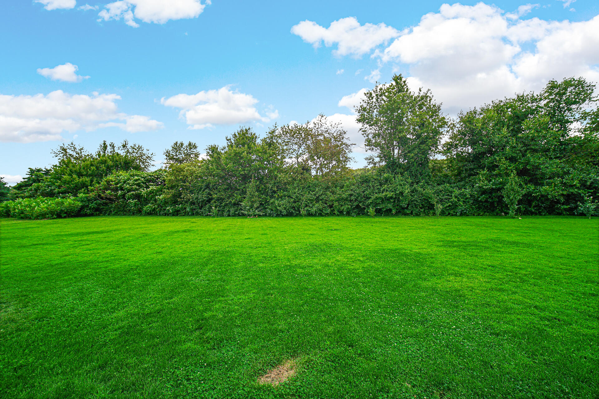 4455 Autumn Ridge Wheatfield, IN 46392 - Photo 4 of 33 a view of yard with green space