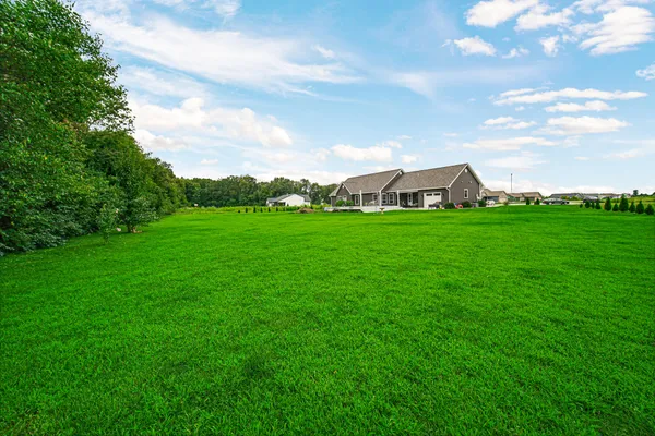 a view of a big yard with plants and a large tree
