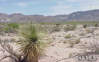 0 East Many Wells San Simon, AZ 85632 - Photo 1 of 2