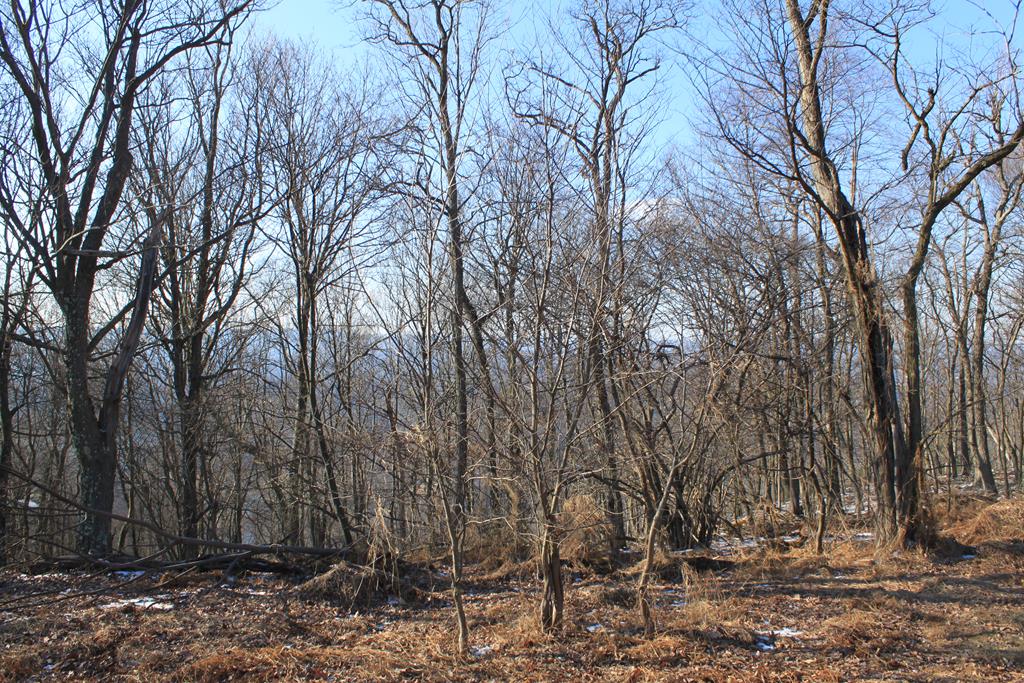 . Corbin Road Huntingdon, PA 16652 - Photo 10 of 23 Gallery Image 10