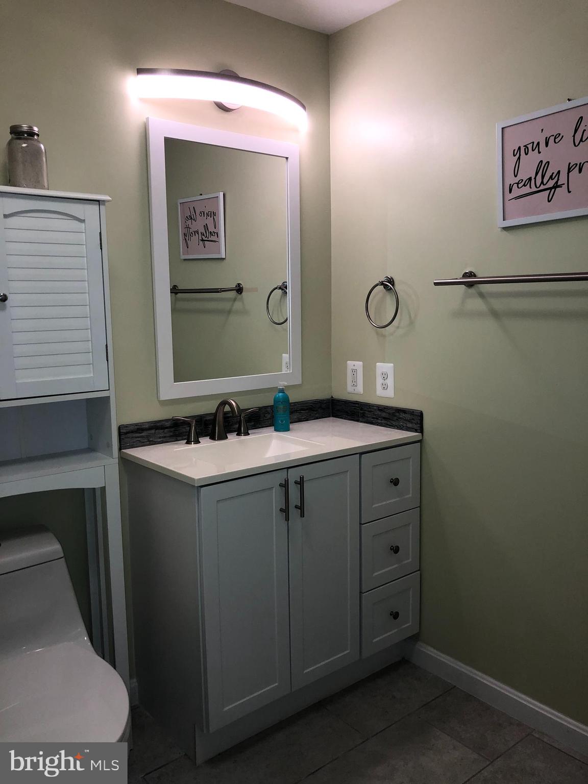 4575 Courtneys Corner Road Sumerduck, VA 22742 - Photo 118 of 145 Double Flush Toilet