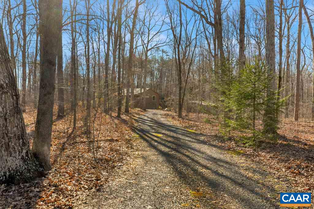 3050 Branch Road Scottsville, VA 24590 - Photo 2 of 28 Gallery Image 2