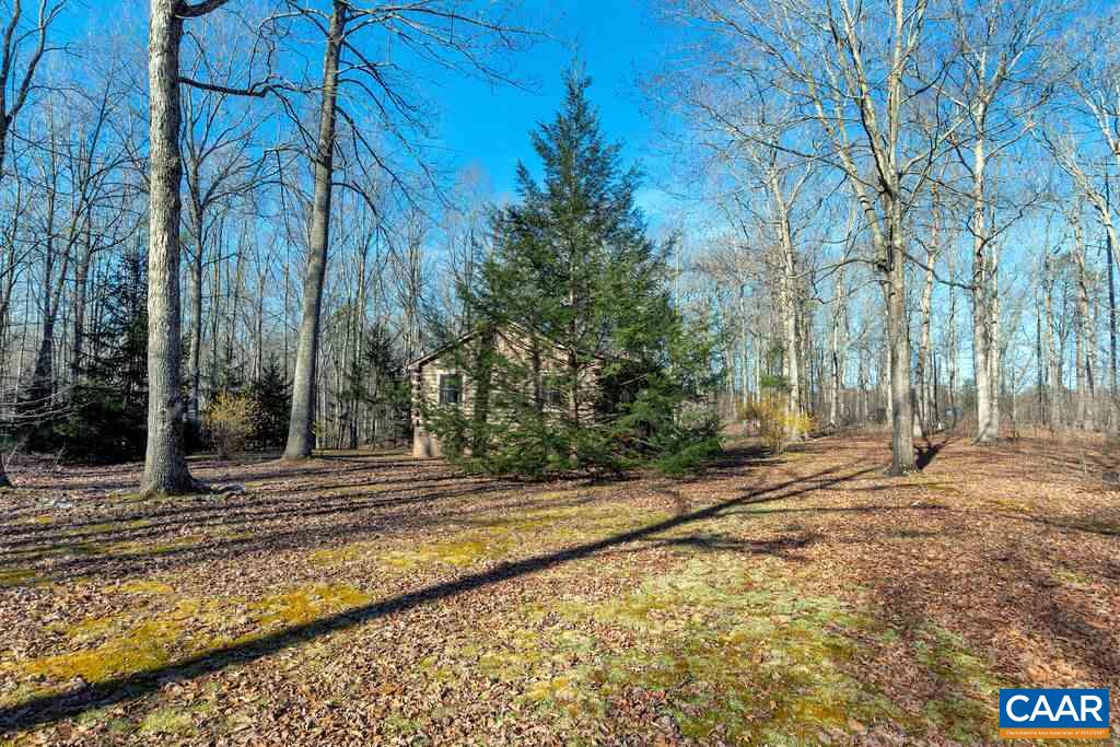 3050 Branch Road Scottsville, VA 24590 - Photo 26 of 28 Gallery Image 26