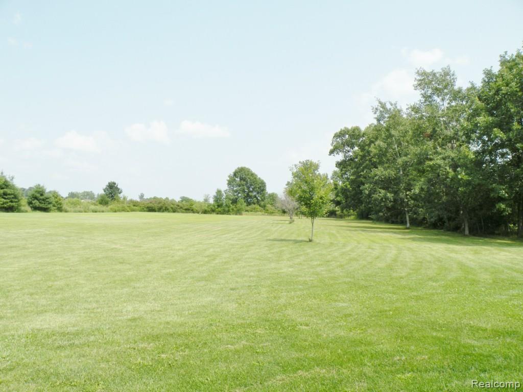 6438 Kelly Road Yale, MI 48097 - Photo 25 of 29 DSCN7696.jpg