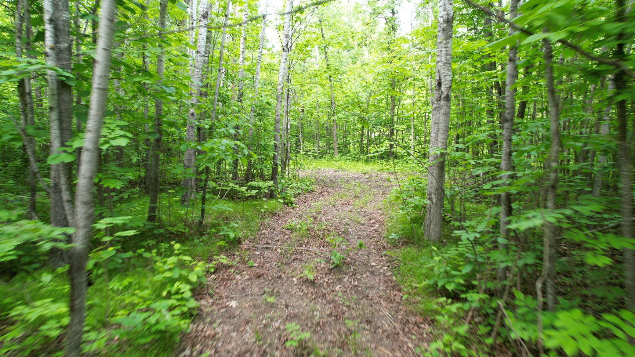 Parcel D Parcel D Ticonderoga Trail Hackensack, MN 56452 - Photo 1 of 1