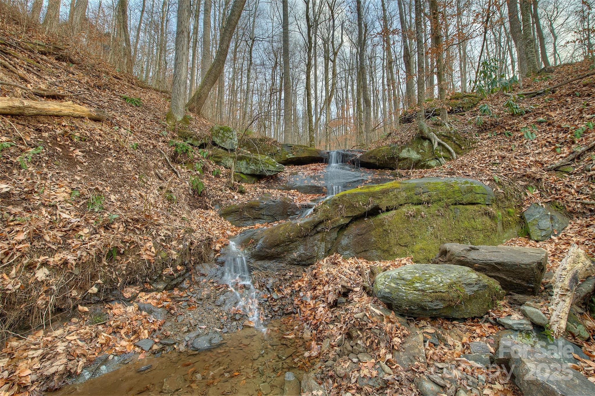 0 Pebble Ridge Road Spruce Pine, NC 28777 - Photo 26 of 26 a view of a yard with large trees