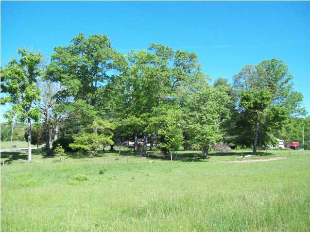 51 Mooneyham Lonewood Road Spencer, TN 38585 - Photo 12 of 17 Additional Photo