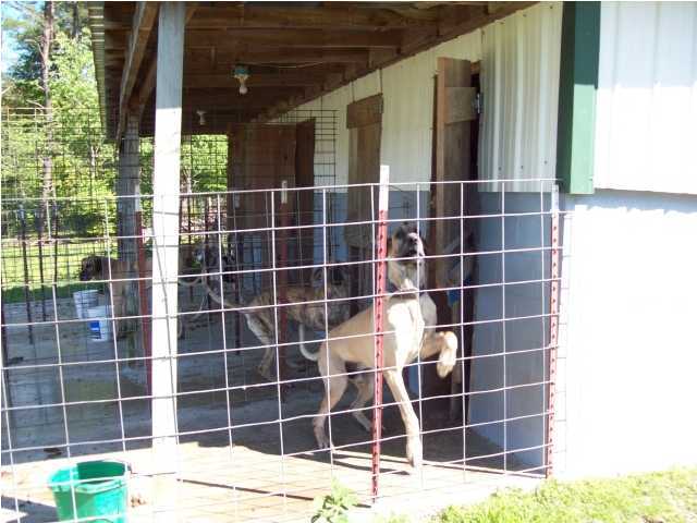 51 Mooneyham Lonewood Road Spencer, TN 38585 - Photo 7 of 17 Additional Photo