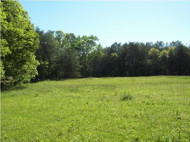 51 Mooneyham Lonewood Road Spencer, TN 38585 - Photo 8 of 17 Additional Photo