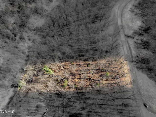 $115,000 | Lot 44 West Of Dry Hill Road, Unit 44, Butler, TN 37640