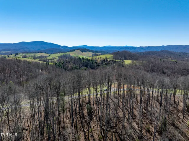 $115,000 | Lot 44 West Of Dry Hill Road, Unit 44, Butler, TN 37640