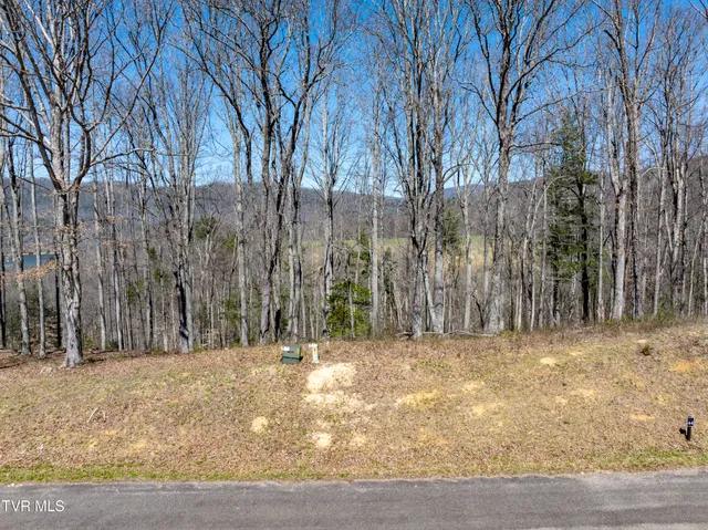 $115,000 | Lot 44 West Of Dry Hill Road, Unit 44, Butler, TN 37640