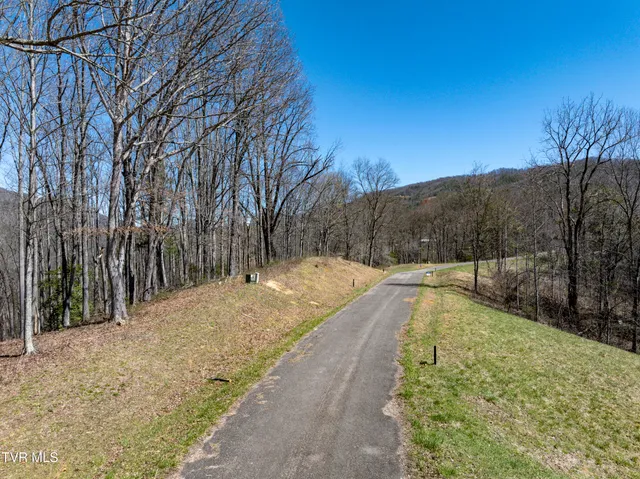 $115,000 | Lot 44 West Of Dry Hill Road, Unit 44, Butler, TN 37640
