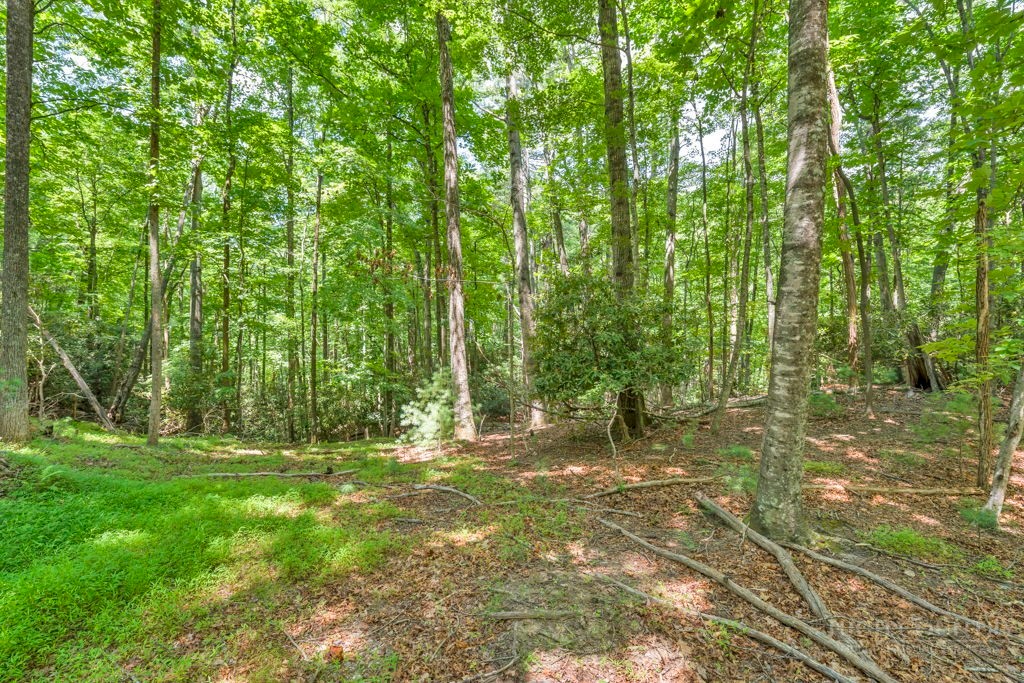 11-14 Powder Horn Mountain Road Deep Gap, NC 28618 - Photo 13 of 38