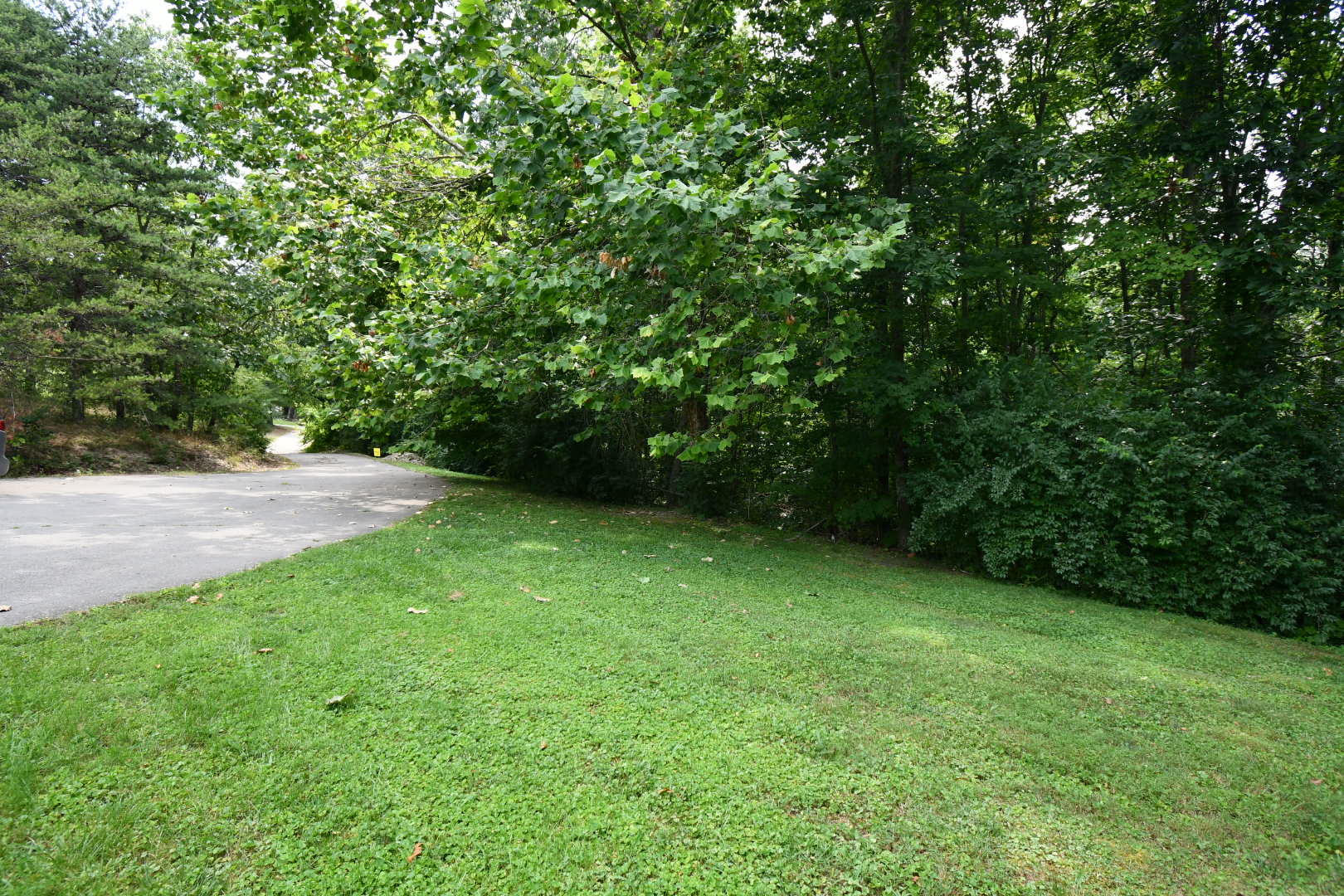 467 Madison View Road Berea, KY 40403 - Photo 41 of 43 DSC_1101