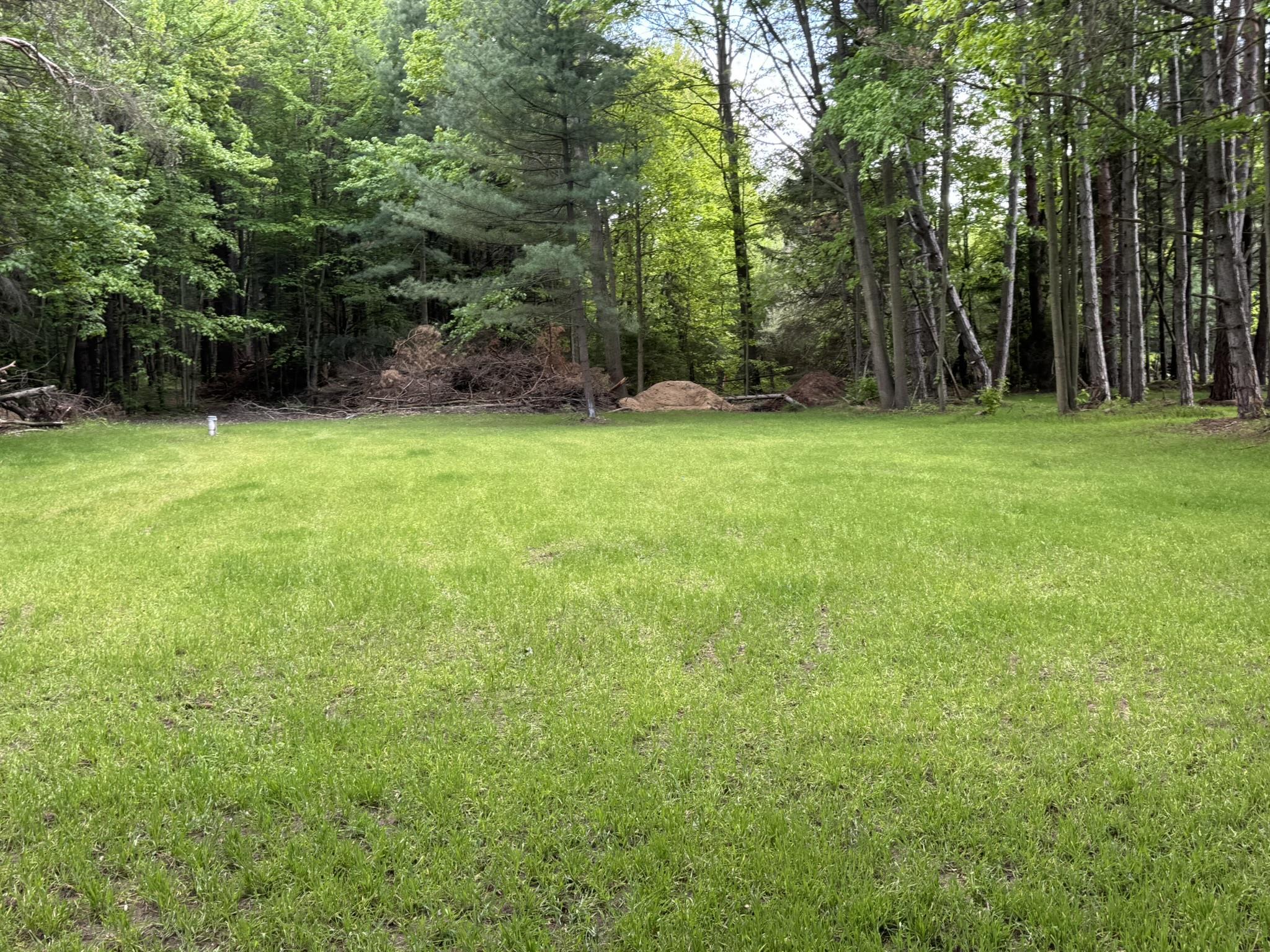 8854 East Pickard Road Mount Pleasant, MI 48858 - Photo 4 of 19
