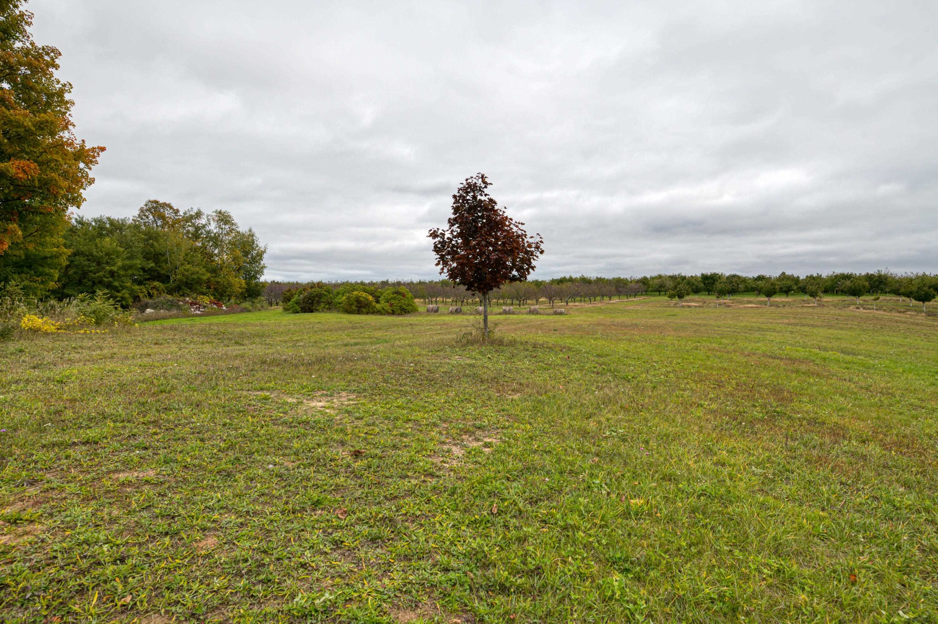 8255 Angell Road Williamsburg, MI 49690 - Photo 16 of 63 1916881-16.JPG