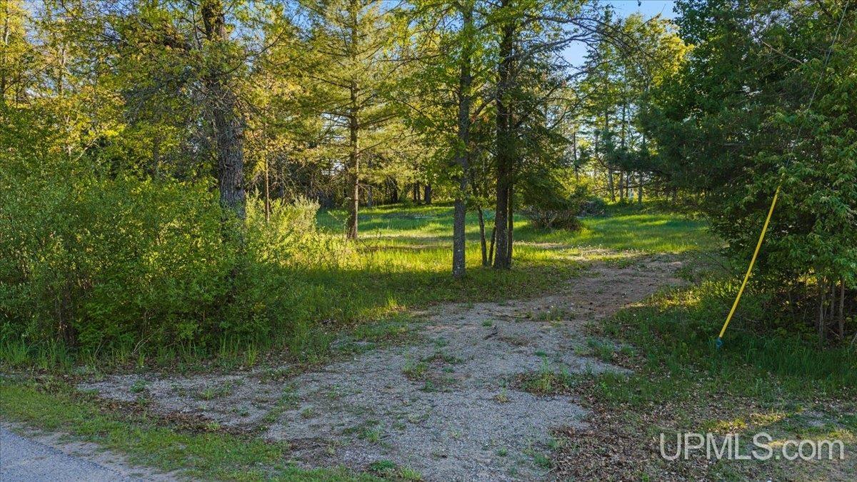 10367 V V.05 Road Rapid River, MI 49878 - Photo 4 of 16