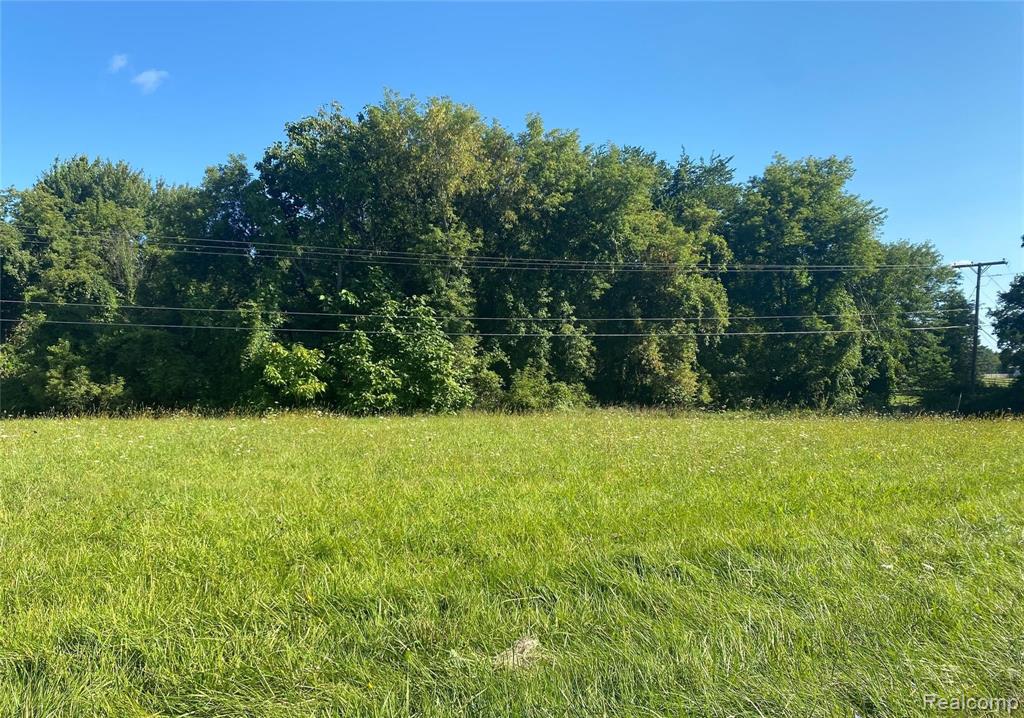 0 Ebeling Road Romeo, MI 48065 - Photo 1 of 16 Gallery Image 1