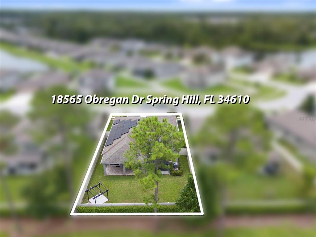 18565 Obregan Drive Spring Hill, FL 34610 - Photo 61 of 70