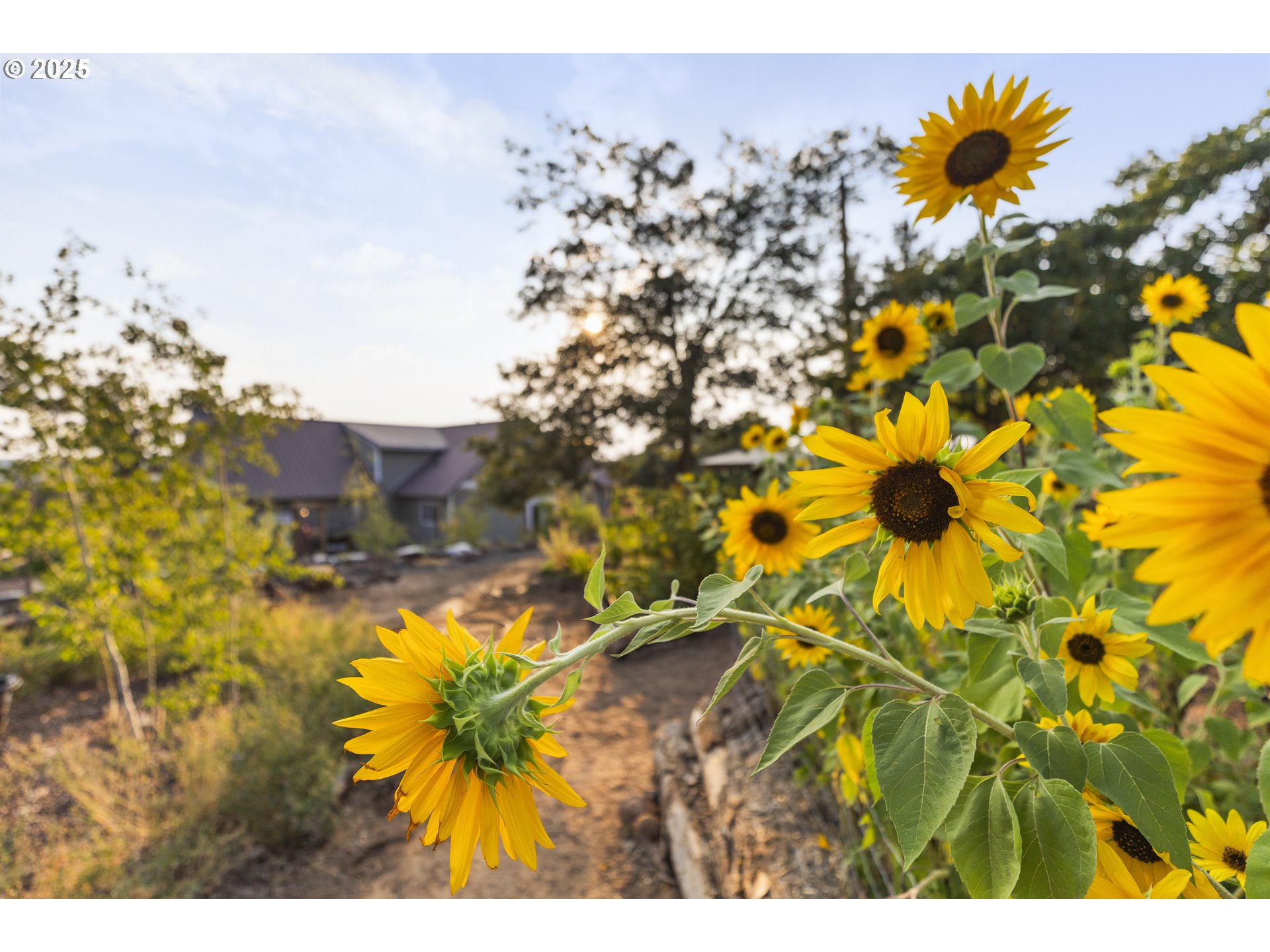 309 Woodland Road Goldendale, WA 98620 - Photo 46 of 48 Gallery Image 46