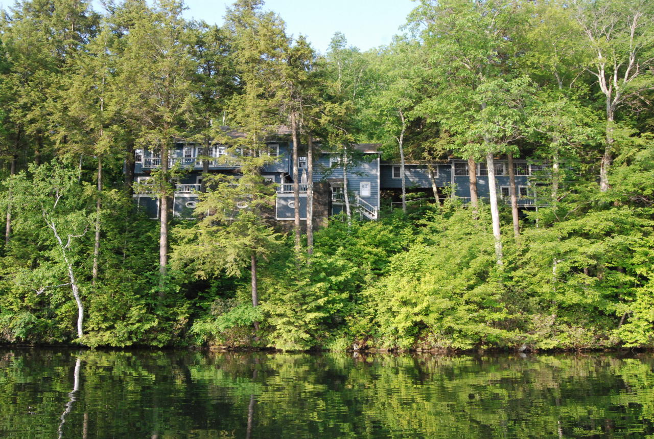55 Eaton Road Monterey, MA 01245 - Photo 2 of 48 a view of outdoor space and yard