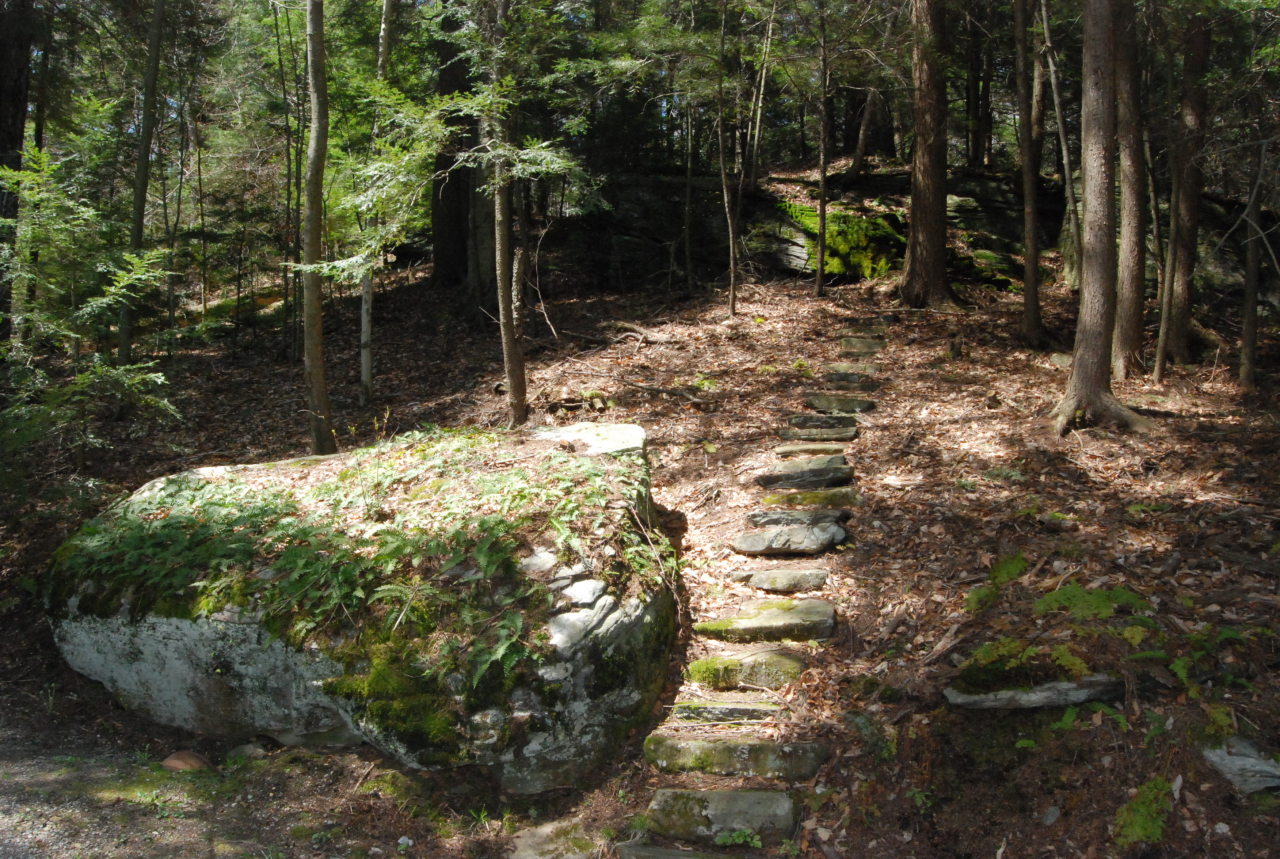 55 Eaton Road Monterey, MA 01245 - Photo 36 of 48 a view of outdoor space and yard