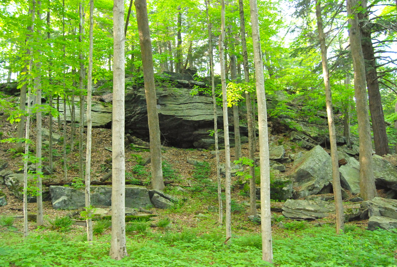 55 Eaton Road Monterey, MA 01245 - Photo 37 of 48 a view of a garden
