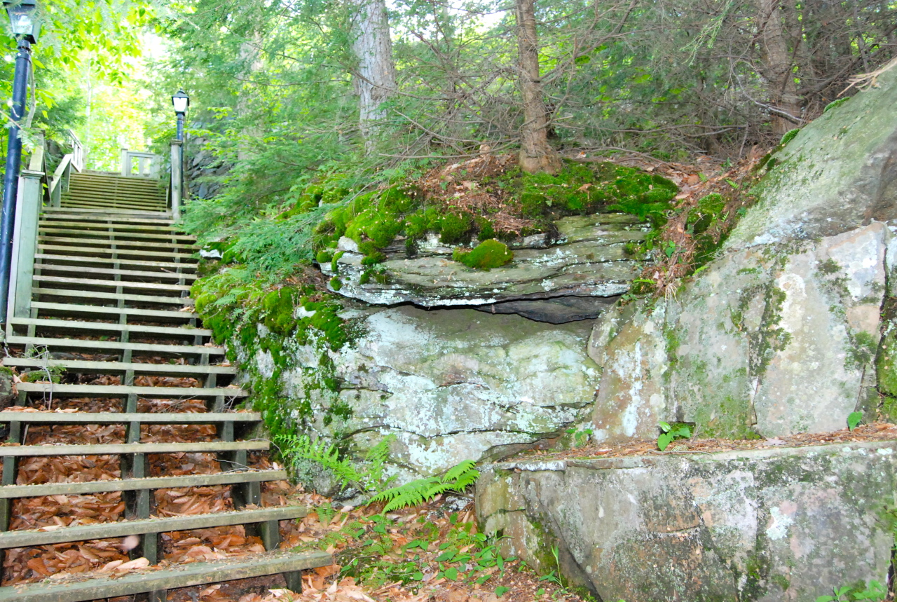 55 Eaton Road Monterey, MA 01245 - Photo 42 of 48 a view of a garden with a fountain