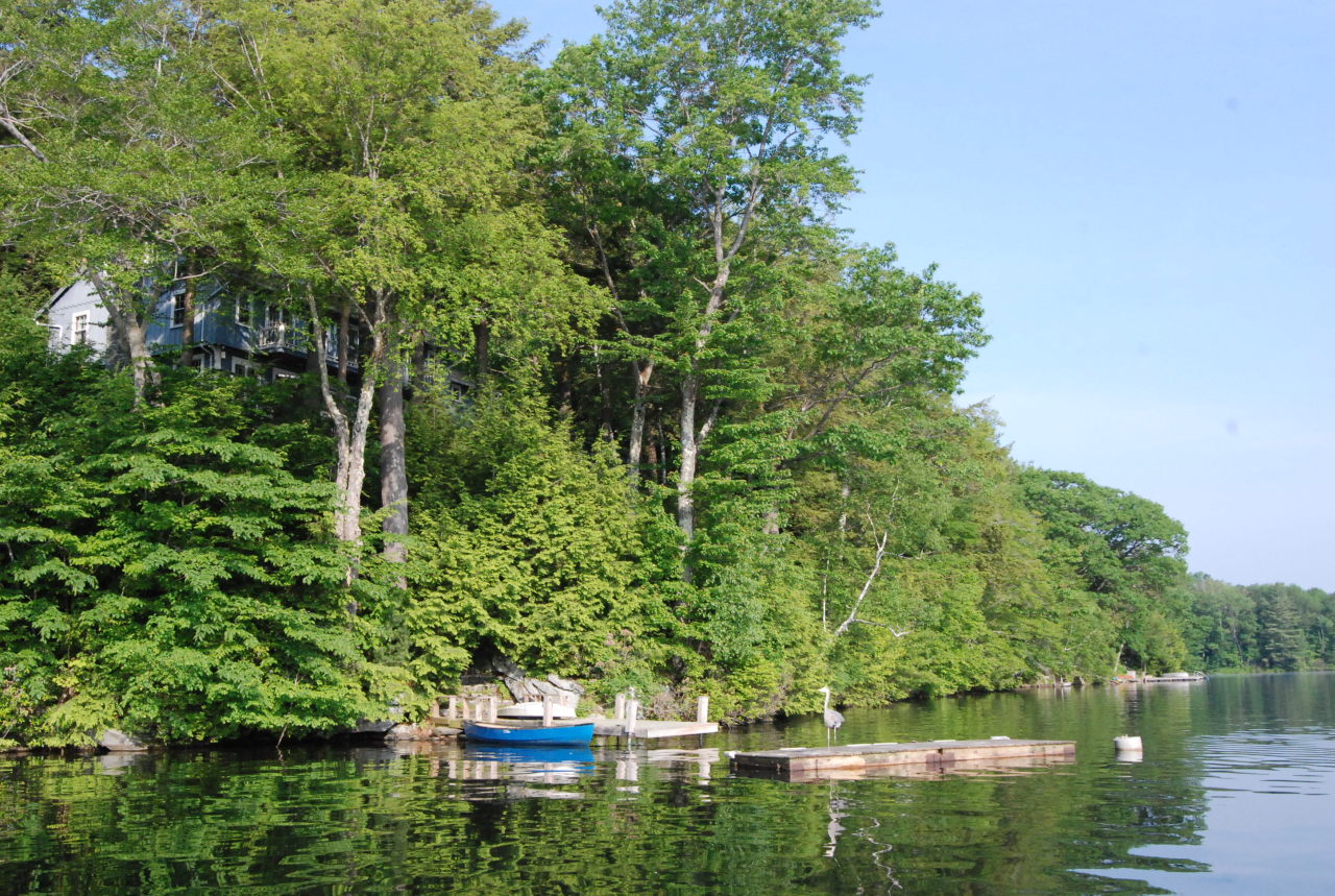 55 Eaton Road Monterey, MA 01245 - Photo 46 of 48 a wooden fence with trees in the background