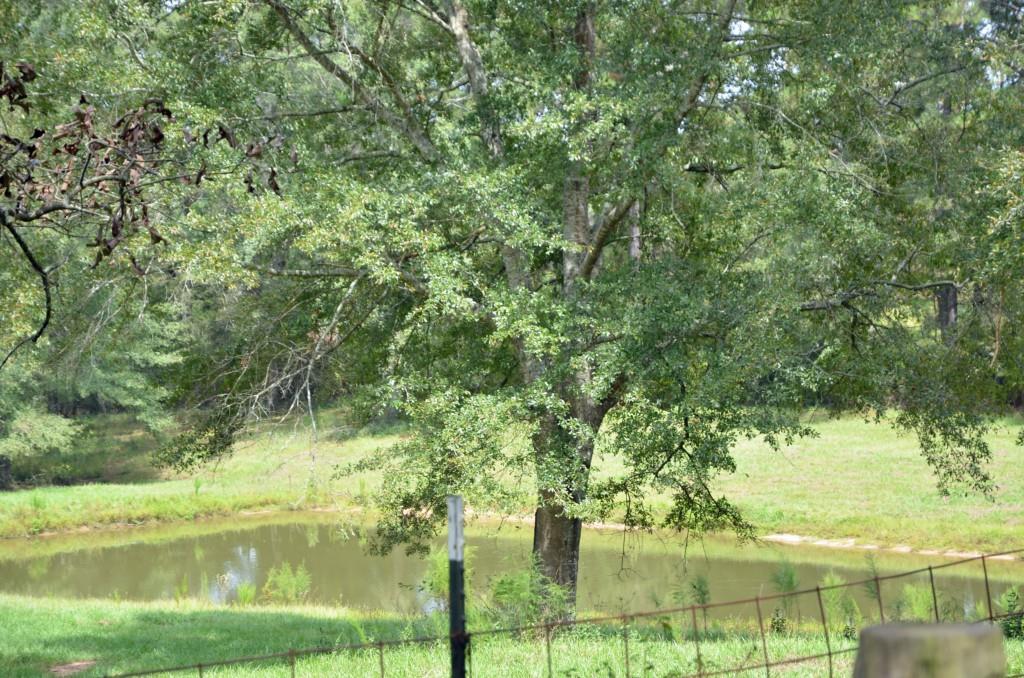 25286 Pittman Road Franklinton, LA 70438 - Photo 6 of 24 Gallery Image 6