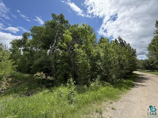 Tbd Trezona Road Ely, MN 55731 - Photo 4 of 22