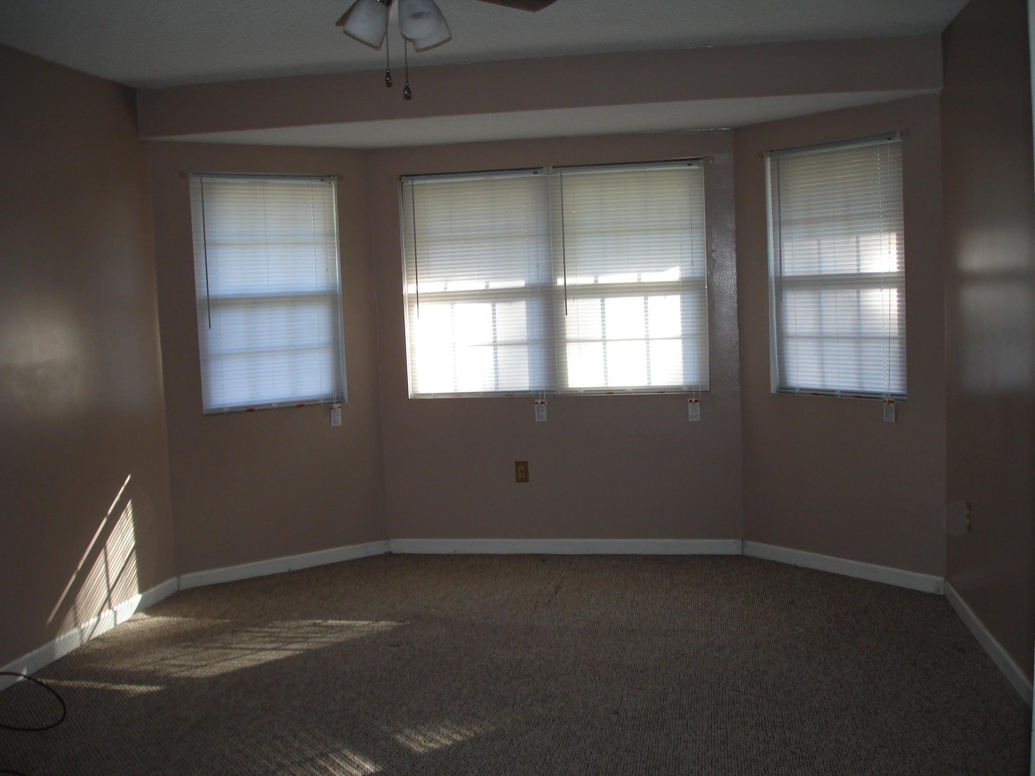 5347 North Jupiter Hill Road Adams Run, SC 29426 - Photo 12 of 32 5347 N. Jupiter Hill 2 (10)