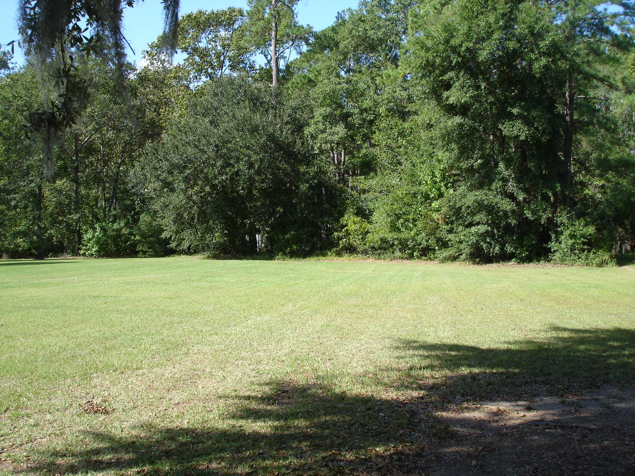 5347 North Jupiter Hill Road Adams Run, SC 29426 - Photo 3 of 32 5347 n jupiter hill rd (7)