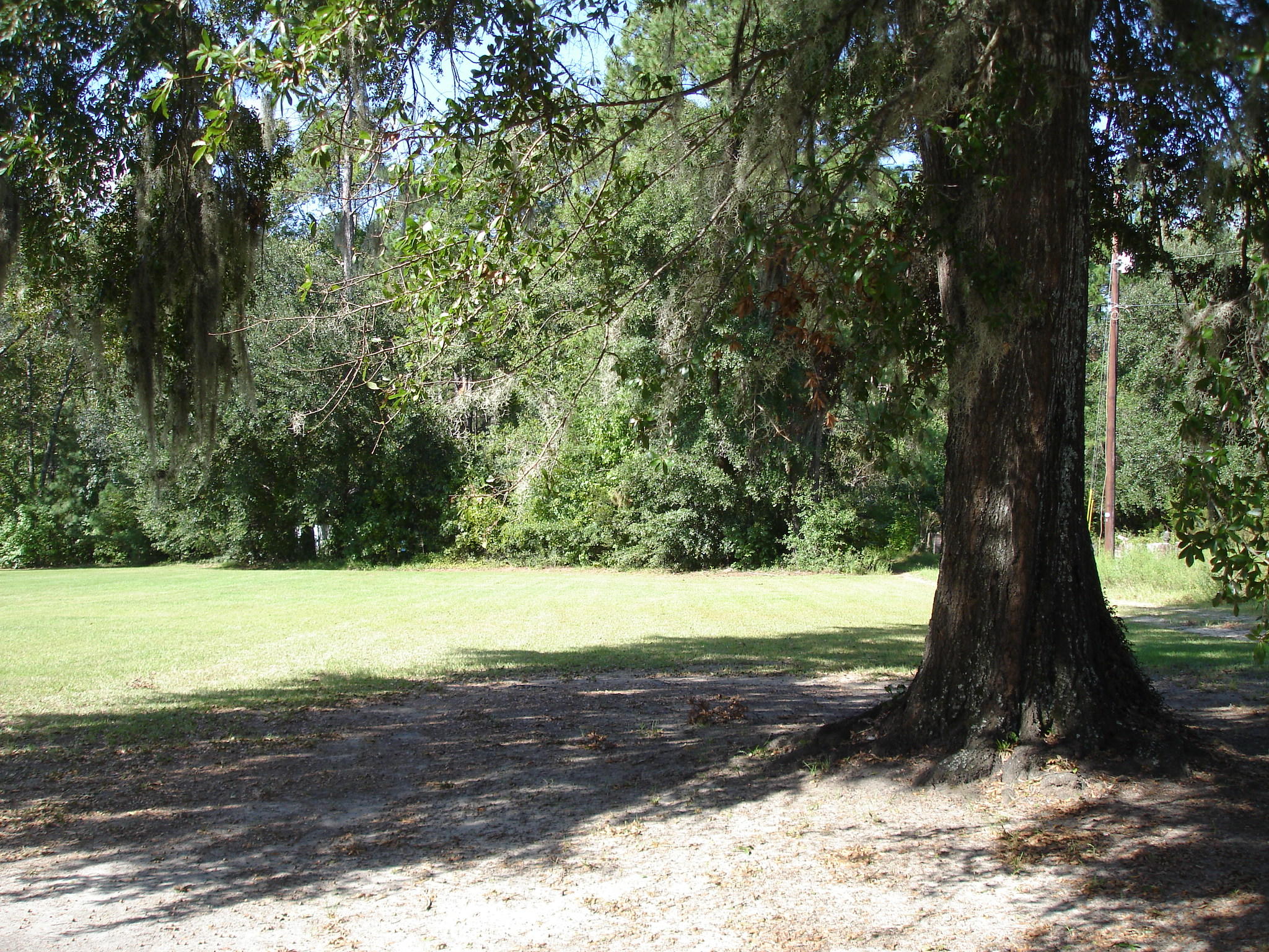 5347 North Jupiter Hill Road Adams Run, SC 29426 - Photo 26 of 32 5347 n jupiter hill rd (6)
