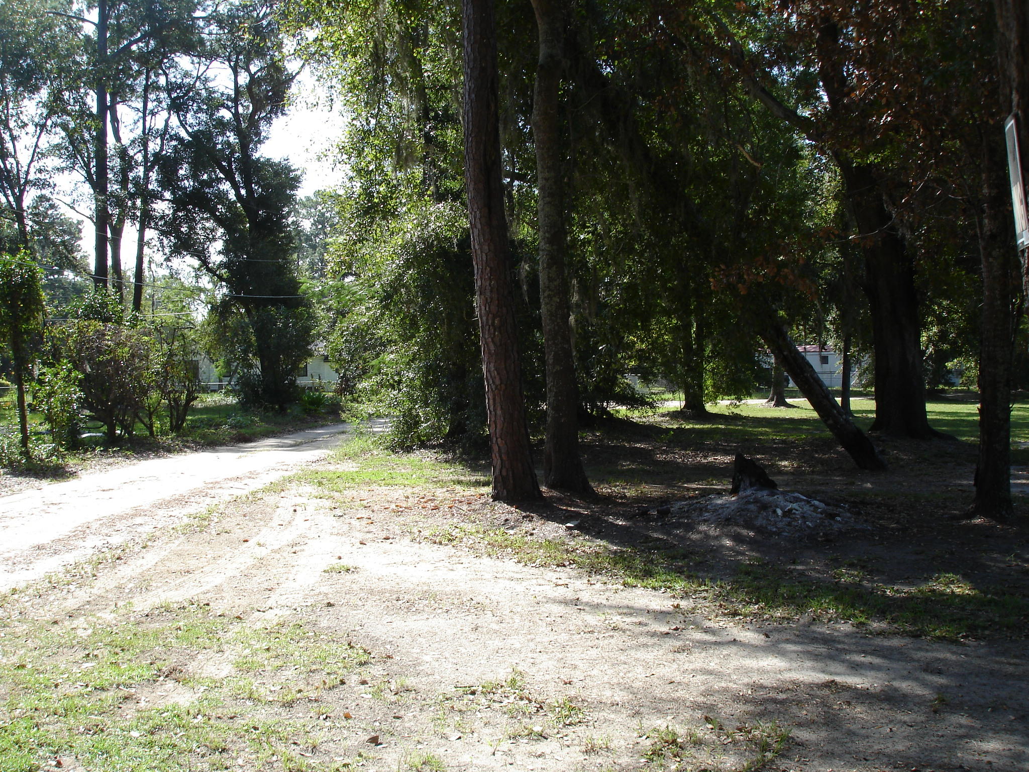 5347 North Jupiter Hill Road Adams Run, SC 29426 - Photo 31 of 32 5347 n jupiter hill rd (28)