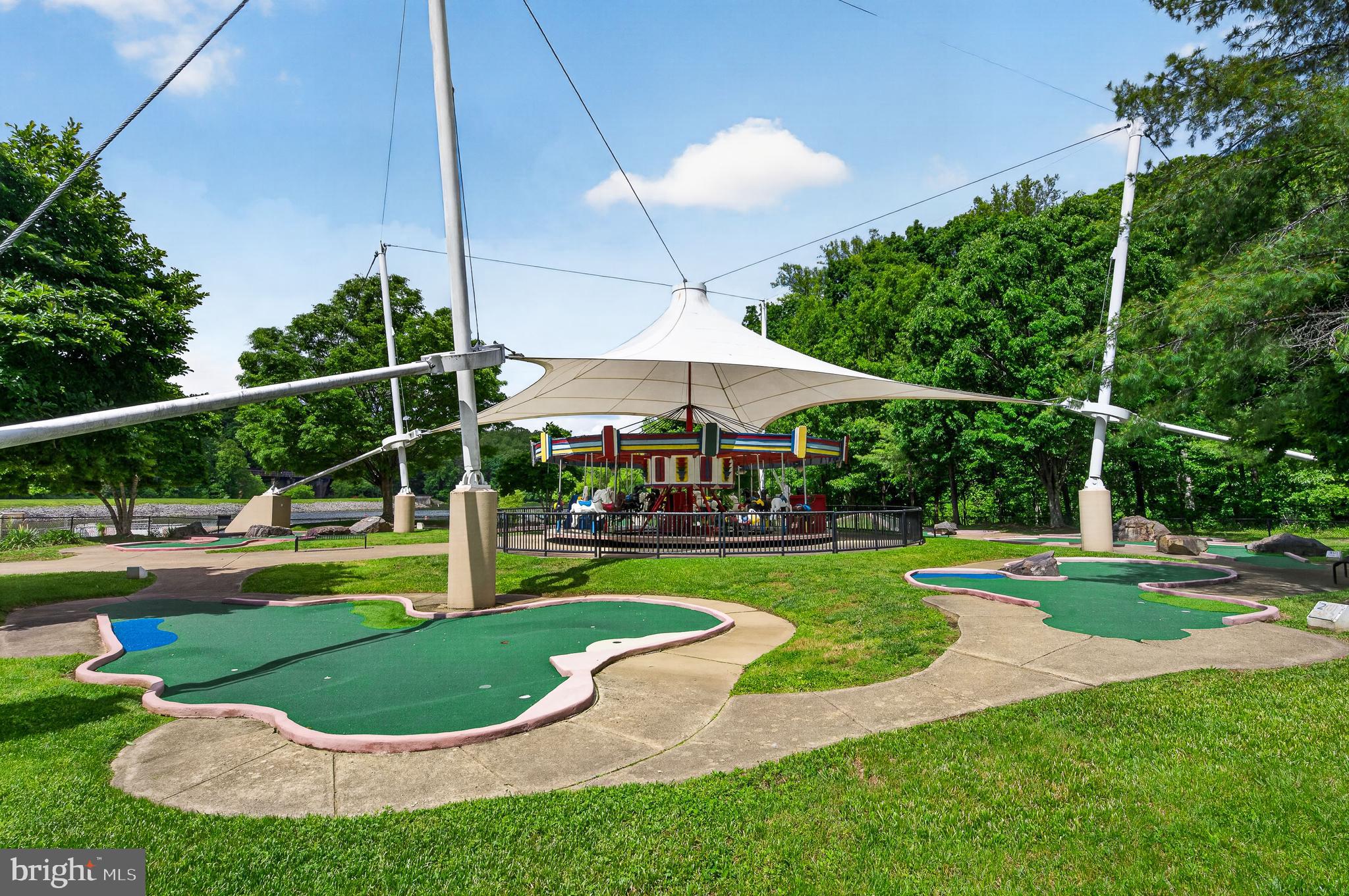 6333 Camilla Street Springfield, VA 22152 - Photo 41 of 54 Mini Golf