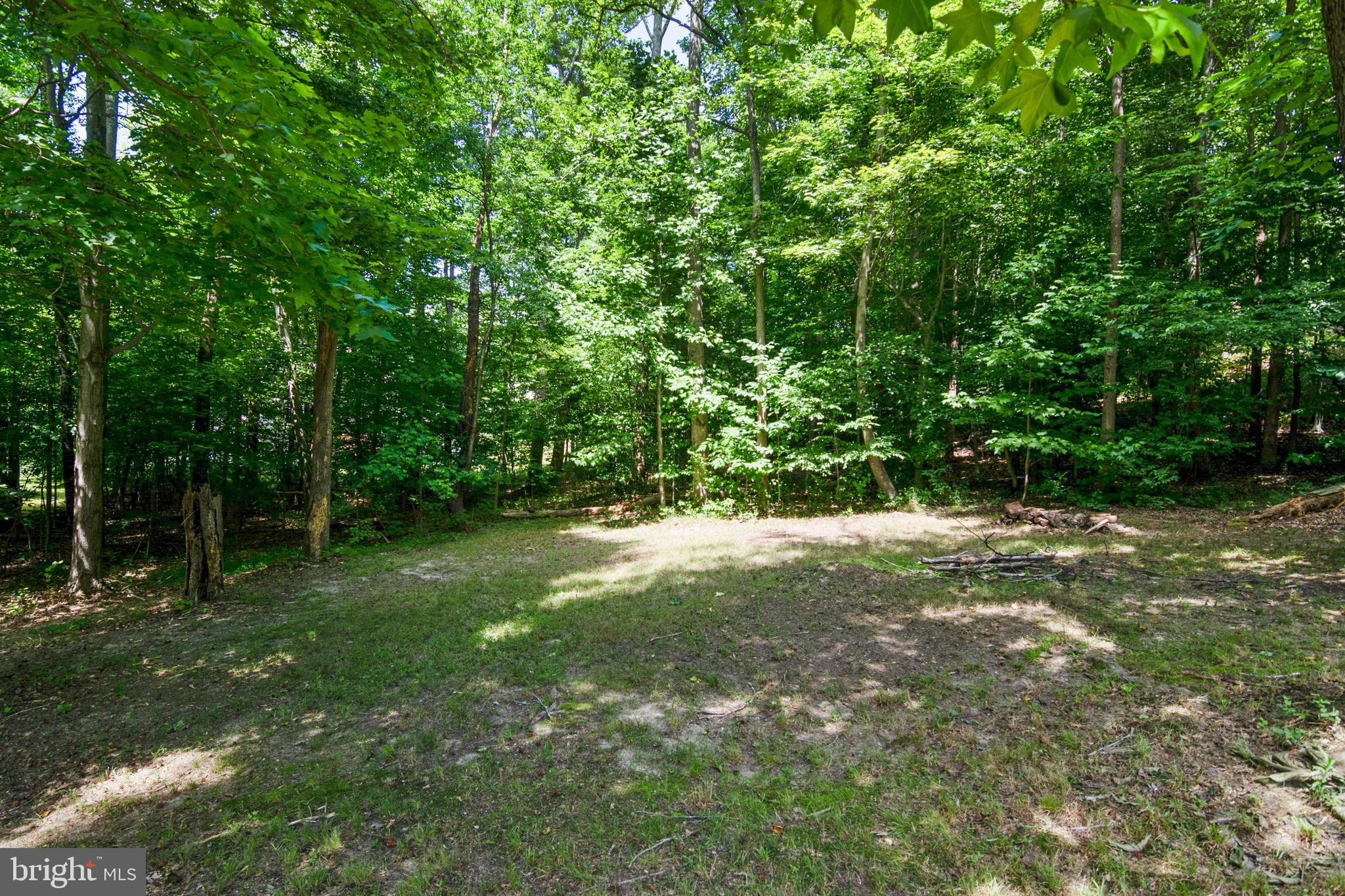 6247 Igo Road King George, VA 22485 - Photo 48 of 53 Gallery Image 48