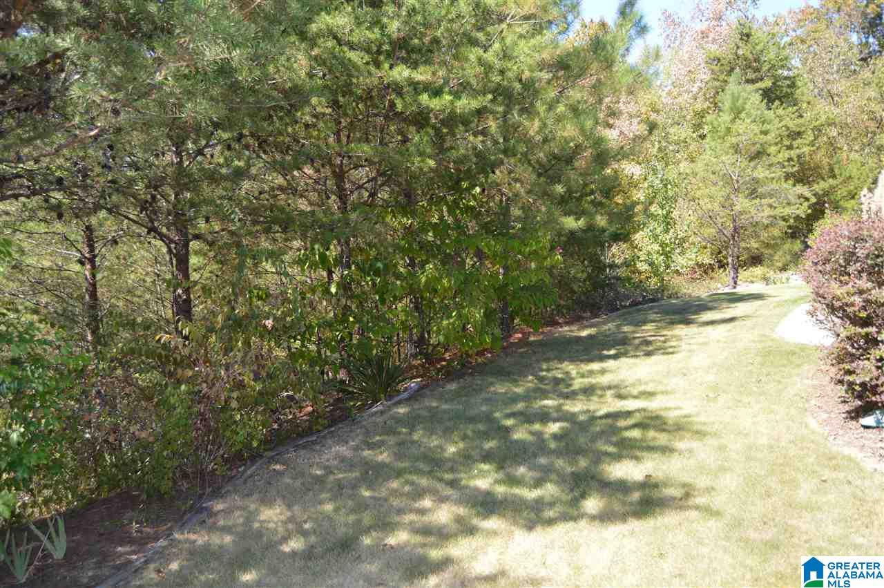6546 Snowville Brent Road Dora, AL 35062 - Photo 13 of 38 Gallery Image 13