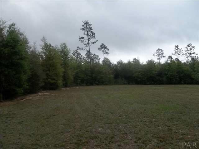 6762 Barnhill Road Milton, FL 32570 - Photo 2 of 6 Another view of land