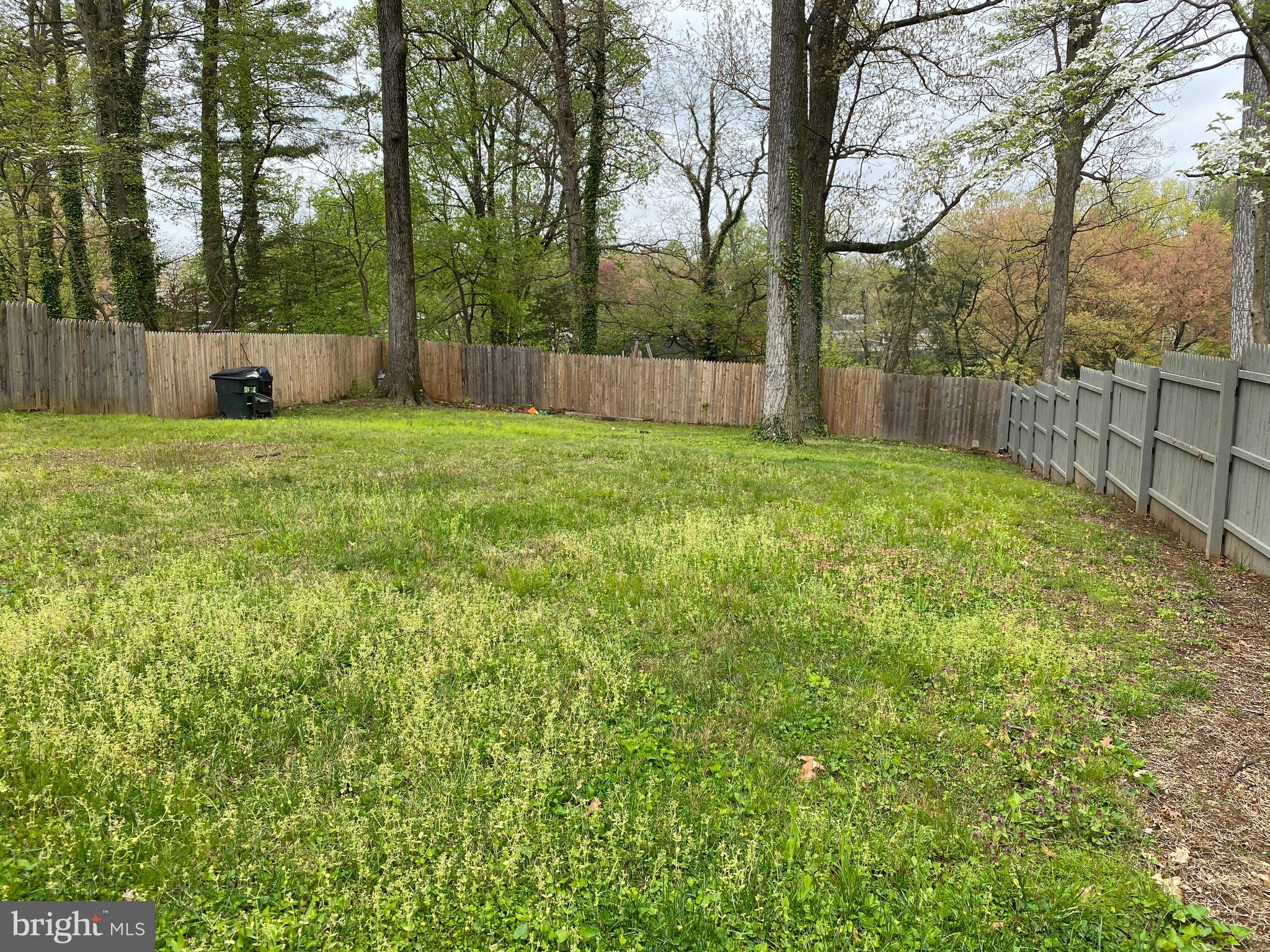 11708 Hatcher Place Silver Spring, MD 20902 - Photo 3 of 46 Gallery Image 3