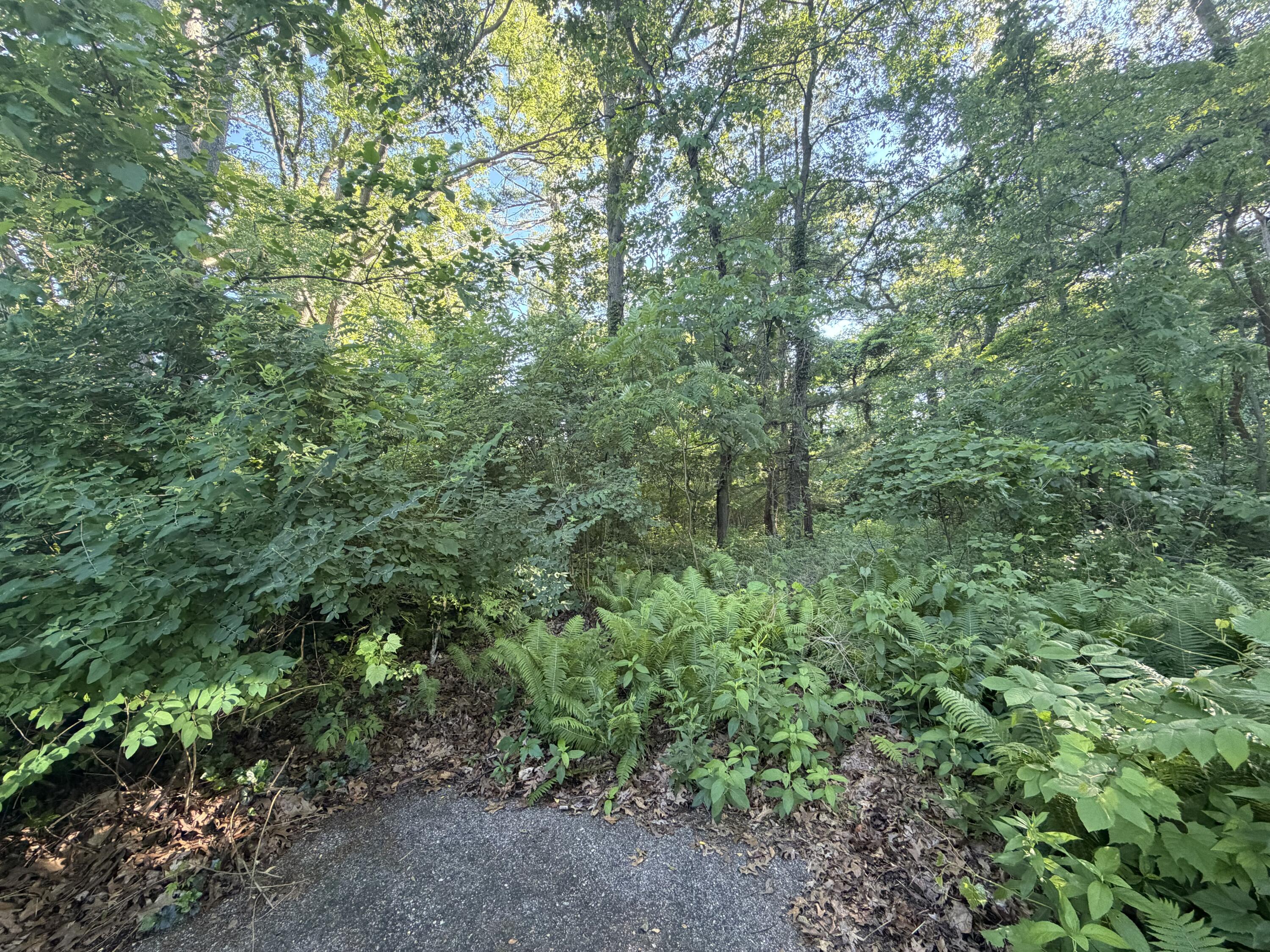 6034 River Ridge Drive Hamilton, MI 49419 - Photo 1 of 10 IMG_3271