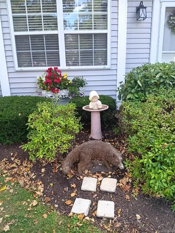 a view of a chair and table in the back yard of the house