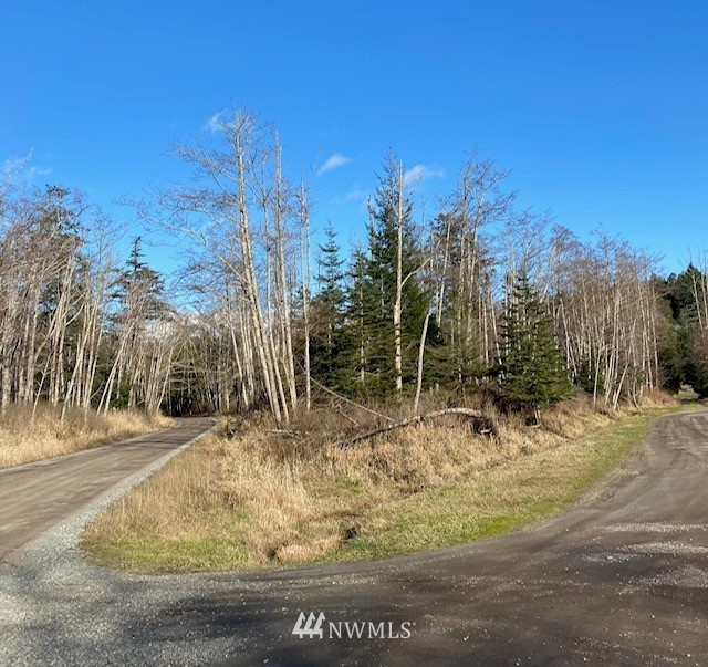 0 Decatur Head Drive Anacortes, WA 98221 - Photo 1 of 14 a view of a yard with trees