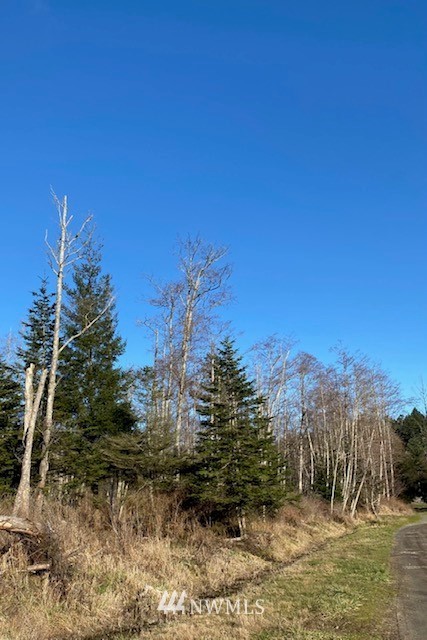 0 Decatur Head Drive Anacortes, WA 98221 - Photo 2 of 14 a view of a yard with trees in the background